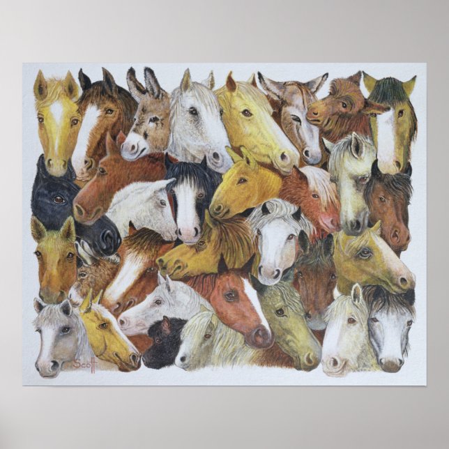 Poster Cheval Chevaux (Devant)