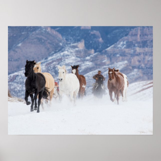 Poster Cheval courant à travers la neige (Devant)