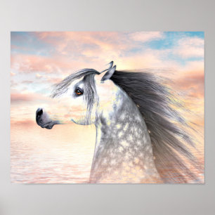 Poster Cheval d'Appaloosa