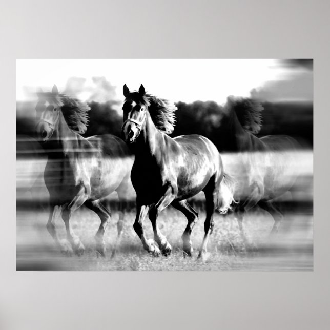 Poster Cheval de course Imprimer - Posters Cheval  (Devant)