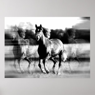 Poster Cheval de course Imprimer - Posters Cheval