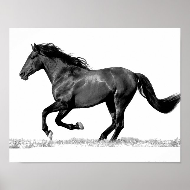 Poster Cheval de course noir et blanc (Devant)