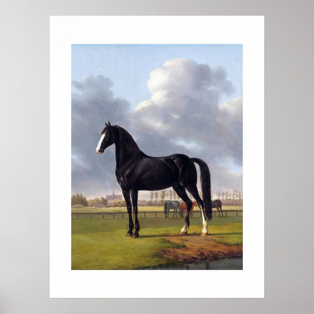 Poster Cheval de course noir vers 1828 (Devant)