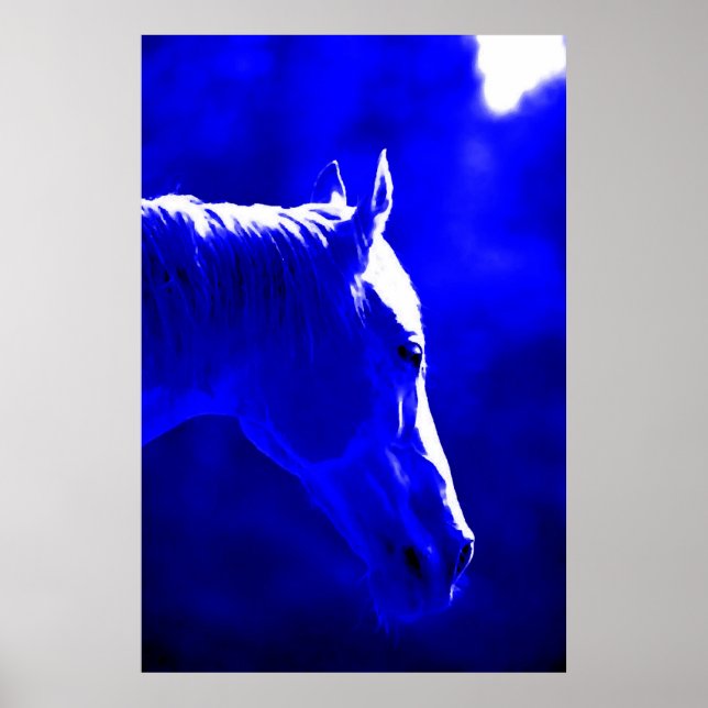 Poster Cheval De Nuit - Cheval De Lune Imprimer (Devant)