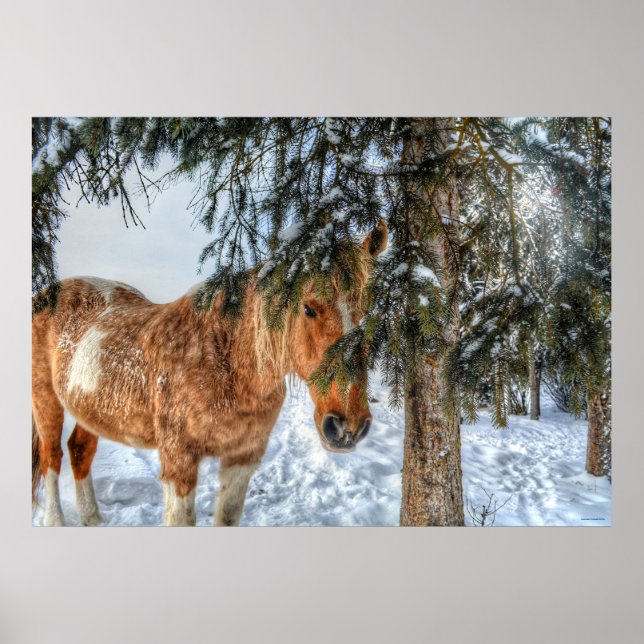 Poster Cheval de Peinture Palomino Doux Protège contre la (Devant)