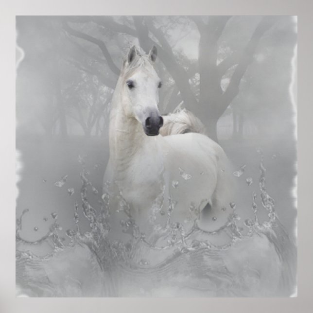 Poster Cheval d'Imaginaire (Devant)