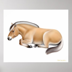 Poster Cheval du fjord norvégien au repos Imprimer