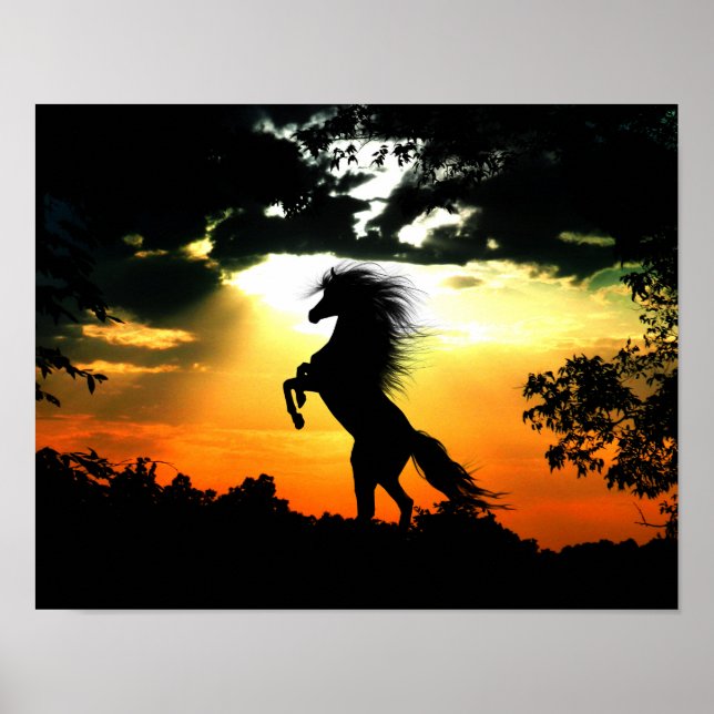 Poster Cheval élevant au coucher du soleil (Devant)