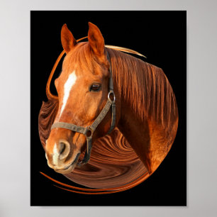 Poster Cheval équitation Graphisme Cheval Photo - Cheval