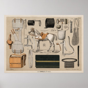 Poster Cheval et Équipements