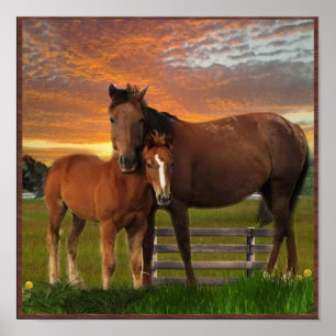 Poster Cheval et poney
