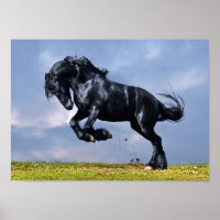 Poster - Cheval Friésien Noir Courant Gratuit
