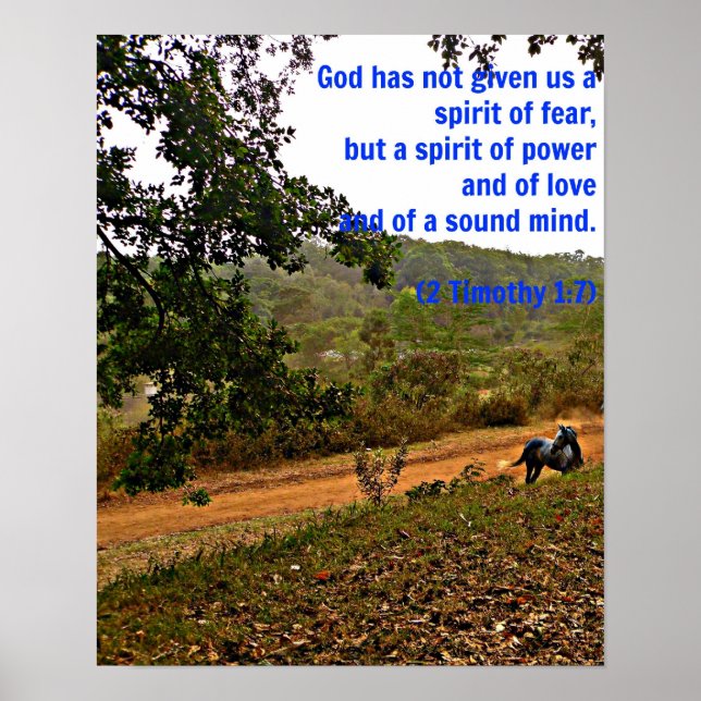 Poster Cheval gris inspirant Timothy Bible Verse Dieu (Devant)