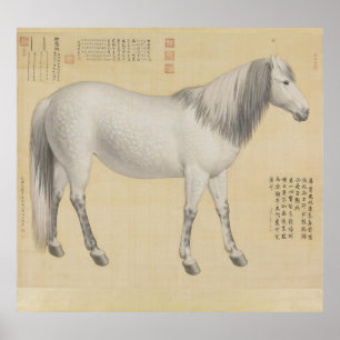 Poster Cheval gris pommelé - Art fin chinois vintage