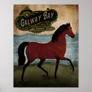 Poster Cheval irlandais Jour de la Saint Patrick, étiquet