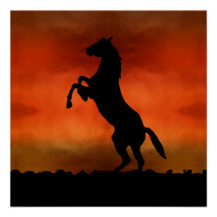 Poster Cheval Libre Au Coucher Du Soleil