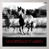 Cheval Motivationnel Blanc Noir Vit Sans Limites