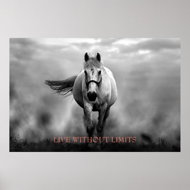 Poster Cheval Motivationnel Blanc Noir Vit Sans Limites (Devant)