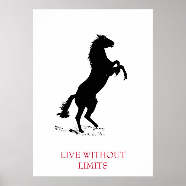 Poster Cheval Motivationnel Blanc Noir Vit Sans Limites (Devant)