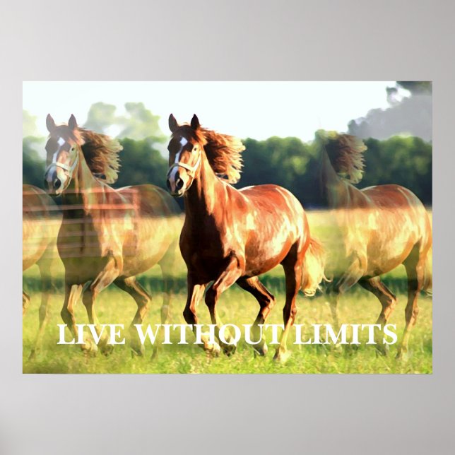 Poster Cheval Motivationnel Vit Sans Limites (Devant)