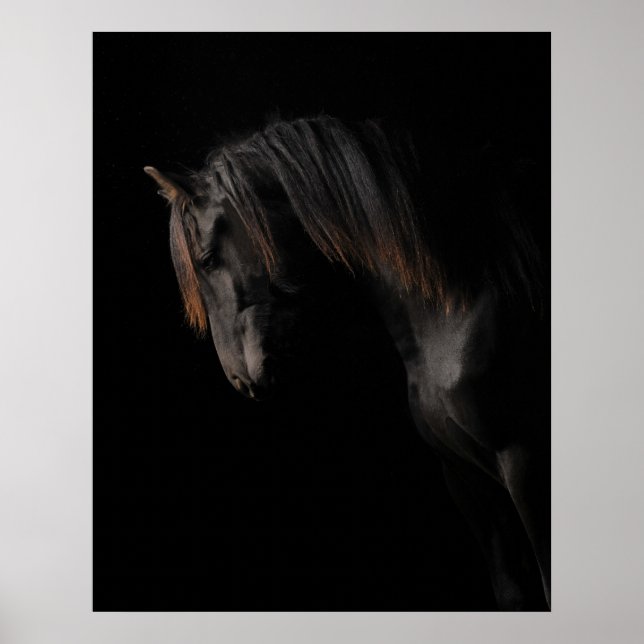 Poster Cheval noir (Devant)