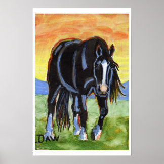Poster Cheval noir au coucher du soleil