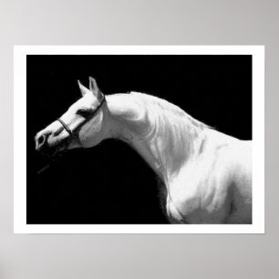 Poster Cheval noir et blanc