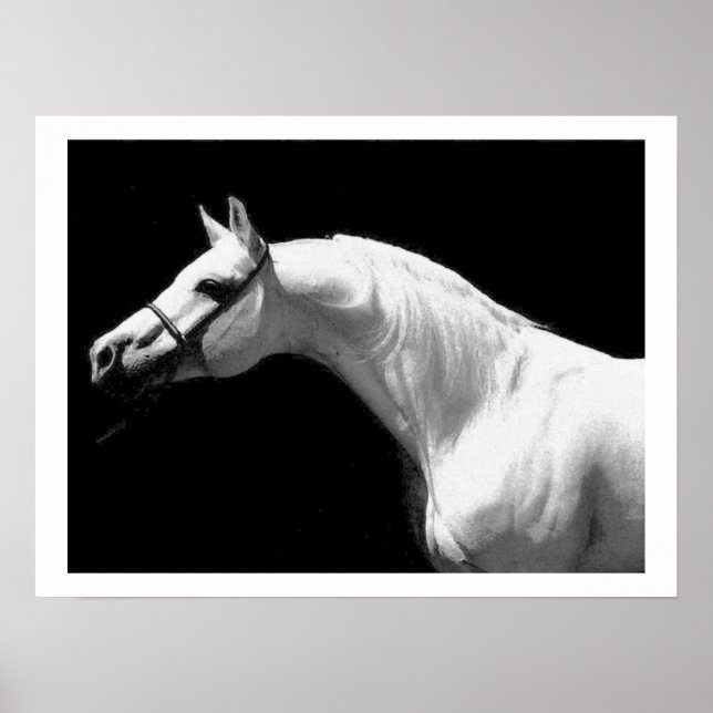 Poster Cheval noir et blanc (Devant)