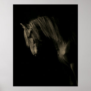 Poster Cheval noir Sepia