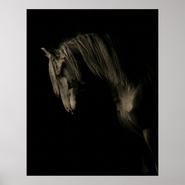 Poster Cheval noir Sepia (Devant)