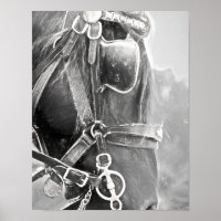 Cheval Ouest Rustique Noir Et Blanc Vintage Art
