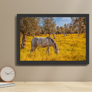 Poster Cheval paissant dans une prairie de fleurs jaunes
