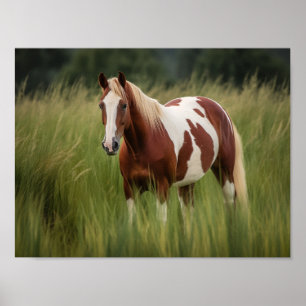 Poster Cheval Pinto Mustang en haute herbe