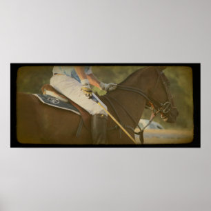 Poster Cheval Polo
