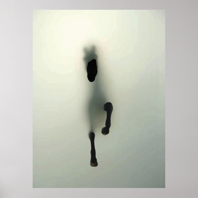 Poster Cheval Qui Traverse Le Fog (Devant)