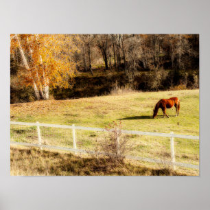 Poster Cheval Rustique Pays Automne Art