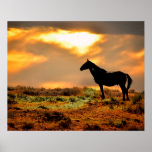 Poster Cheval sauvage au coucher du soleil