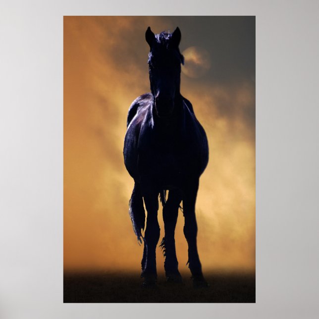 Poster Cheval spirituel (Devant)