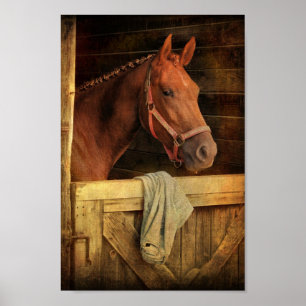 Poster Cheval Thoroughbred