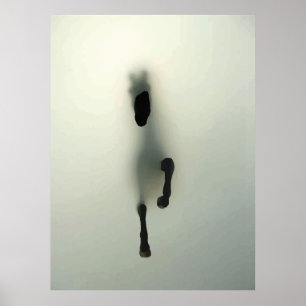 Poster Cheval traversant le brouillard