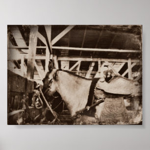 Poster Cheval vintage