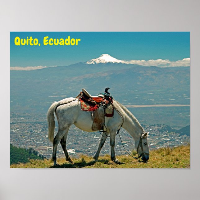 Poster Cheval & volcan, Quito, Equateur (Devant)