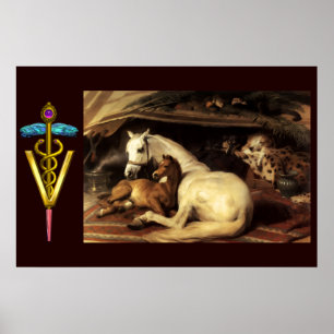 POSTER CHEVALX AVEC CADUCÉE D'OR SYMBOLE VÉTÉRINAIRE