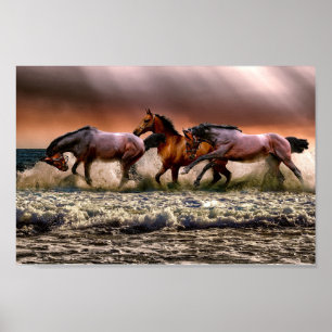 Poster Chevaux