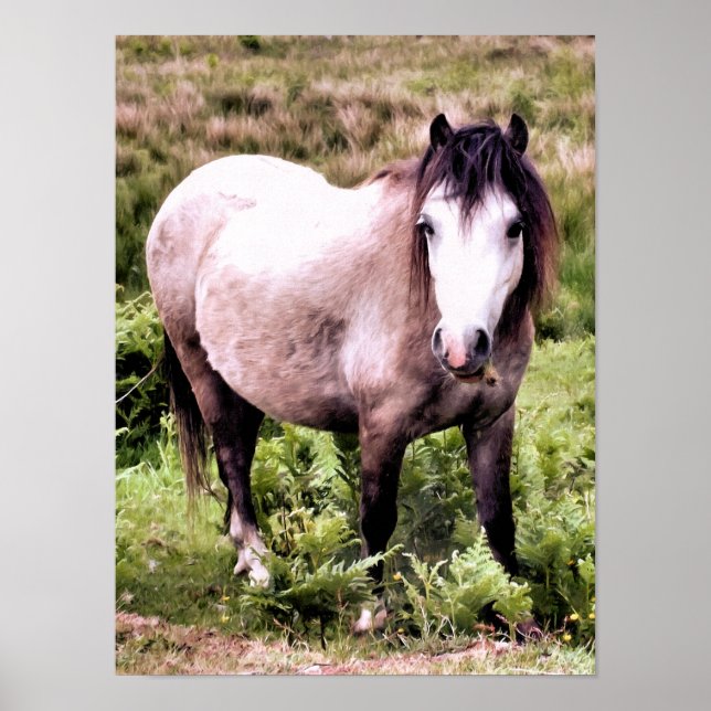 POSTER CHEVAUX (Devant)