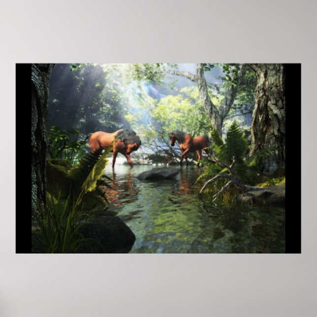 Poster Chevaux (Devant)
