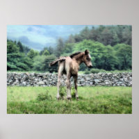 CHEVAUX