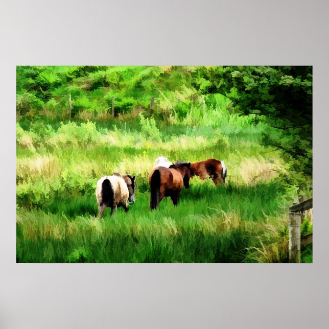 POSTER CHEVAUX (Devant)