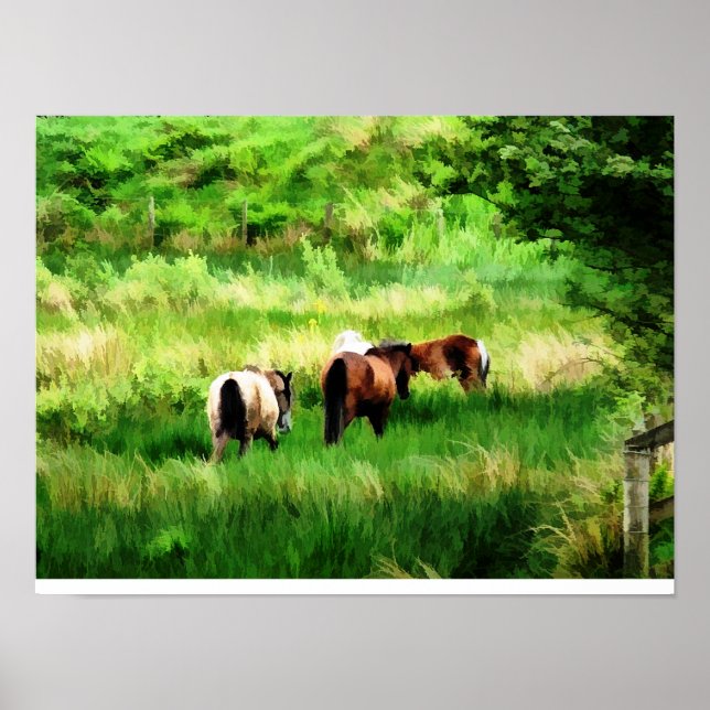 POSTER CHEVAUX (Devant)