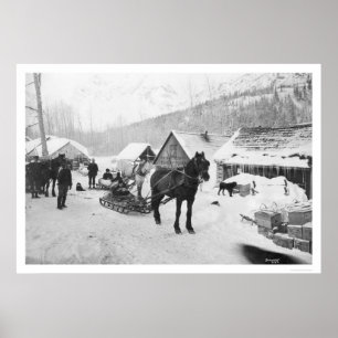 Poster Chevaux Alaska 1912 de traînée de Valdez